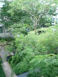 Le Reve (D14), Condominium #460662701